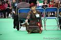 Crufts2011_2 947